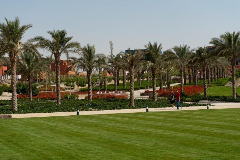 مسطحات خضراء ونخيل في مشروع لاندسكيب قائم